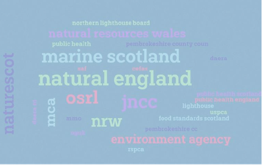 Sea Alarm Delivers Expert Session At Online UK Oiled Wildlife Response Workshop